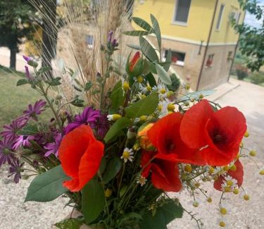 Francavilla d'Ete House | Discover Casa in Campagna La Roverella - Rated 9.5/10!