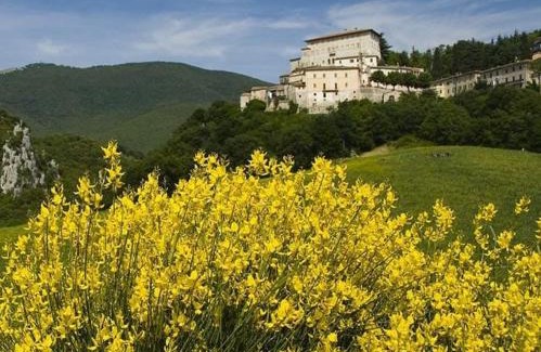 Tenaglie Apartment | Pet and Child Friendly Retreat at Casa in Collina