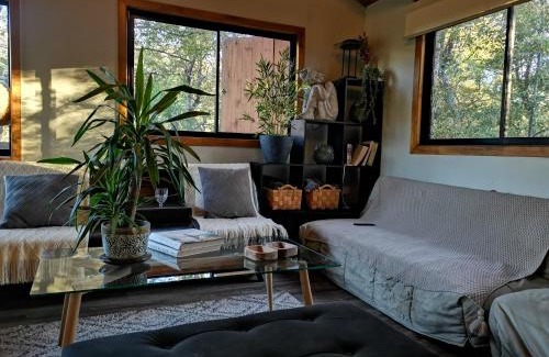 Pinto Cabin | Casa Indómita