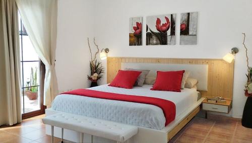 Playa Honda House | Oceanfront Oasis at Casa Isabel - Guest Rated 9.6/10