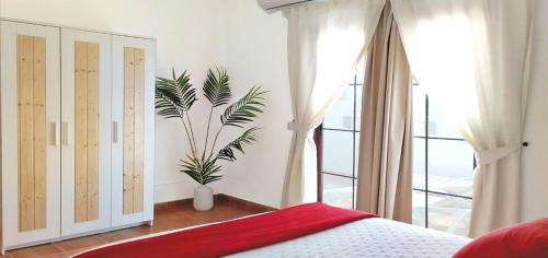 Playa Honda House | Oceanfront Oasis at Casa Isabel - Guest Rated 9.6/10