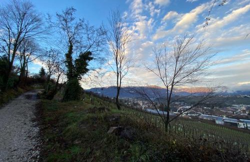 St. Michael/San Michele Apartment | Pet-Friendly Enclave: Casa Piganò with 9.7/10 Rating
