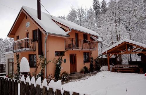 Cartisoara House | Top-Rated Family Getaway at Casa Iulia & Matei