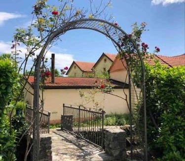 Trn Villa | Relax at Casa Ivan: Pet-Friendly Oasis with Pool Access
