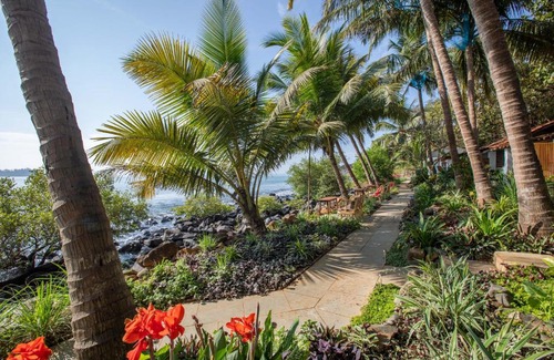 Palolem Resort | Oceanfront Retreat at Casa Jaali - Rated 8.9/10 by Guests