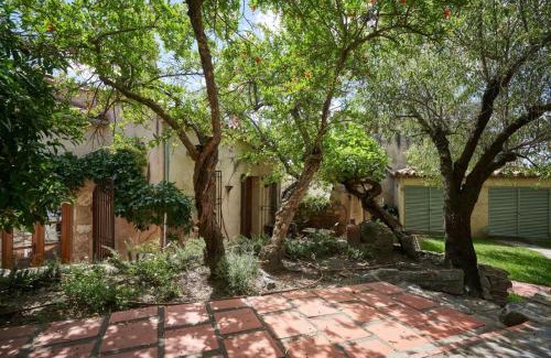 Trigueros House | Casa Jacaranda