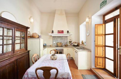 Trigueros House | Casa Jacaranda