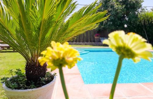 Arriate Villa | Casa Jazmín: Oceanfront Hideaway with Family-Friendly Amenities