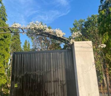 Chau Duc House | Serene Casa Khang Cottage Near HCMC with Pet-Friendly Perks