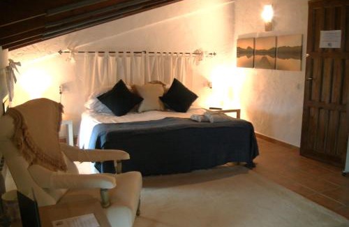 Colmenar House | Inviting Casa KiSi Cottage: Oceanfront B&B with Pool