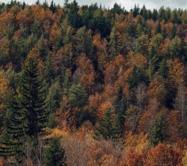 Pian degli Ontani Apartment | Discover Casa l'Acerone: Guest Rated 9/10 & Pet Friendly