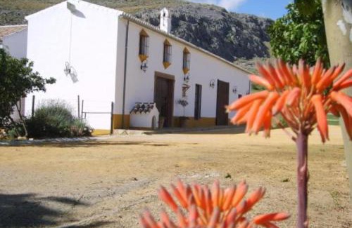 Teba House | Unforgettable Stays at Casa La Camorra - 10/10 Rated!