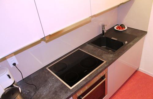 Sedrun Apartment | Casa La Foppa Füger