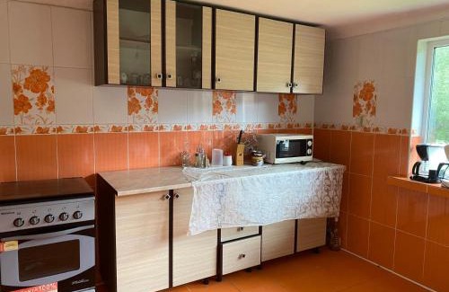 Sopotu Nou House | Pet-Friendly Retreat at Casa la Intrare în Cheile Nerei