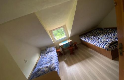 Sopotu Nou House | Pet-Friendly Retreat at Casa la Intrare în Cheile Nerei