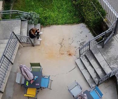 Pieve Apartment | Oceanfront Retreat at Casa La Pief 3 Blue - Guest Rated 9.1