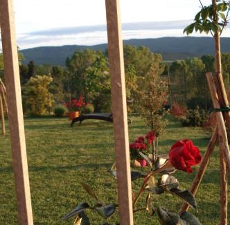Pievescola House | Pet-Friendly Casa la Pineta with Pool & 9.2/10 Guest Rating