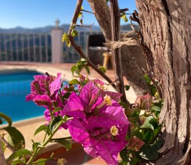 Riogordo Bed & Breakfast | Oceanfront Oasis at Casa la Quinta - Guest Rated 9.9/10