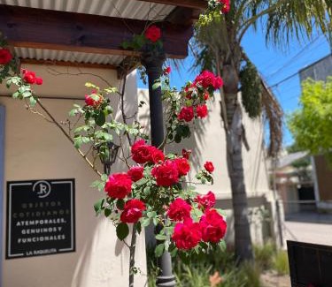 Navarro House | Unmatched Comfort at Casa La Raquelita - 10/10 Rated Stay