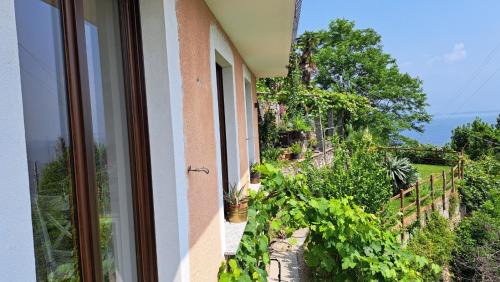 San Bartolomeo Apartment | Experience Casa Lago Azzurro Atelier with Oceanfront Views