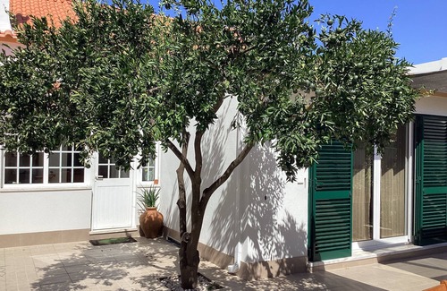 Seixal House | Casa Lagoa south of Lisbon - 20 minutes from Lisbon and beaches. Swimming pool and Wifi