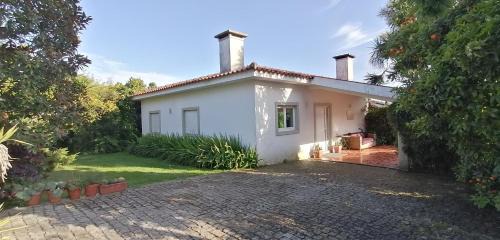 Vila Nova de Famalicao House | Beachfront Bliss at Casa Landim - Rated 9.5/10!