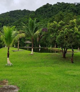 Ariro House | Discover Casa Laranja: Beachfront Bliss with Pool Access