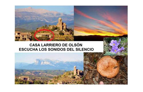 Olson House | Discover Casa Larriero de Olsón: Pet & Child Friendly Retreat
