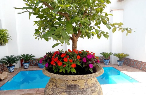 El Valle House | Inviting Casa Las Mandalas Saleres with Pool and Kitchen