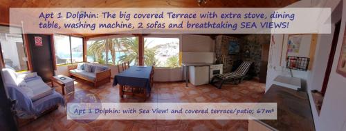 Las Playitas Apartment | CASA LAS PLAYITAS: Breathtaking Sea View Steps from Ocean