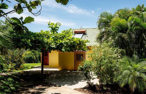 Bejuco Bed & Breakfast | Relaxing Casa Laureles: Oceanfront Pool & Child-Friendly Bliss