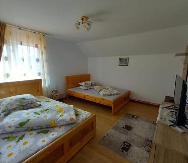 Gorj House | Pet and Child Friendly Stay at Casa Lavinia Crasna Gorj