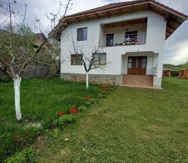 Gorj House | Pet and Child Friendly Stay at Casa Lavinia Crasna Gorj