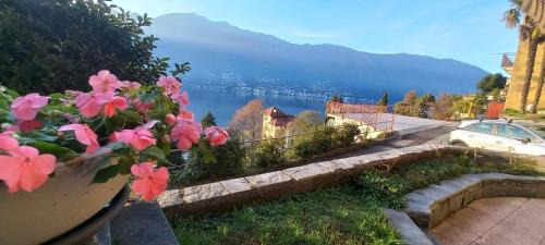 Pino Lago Maggiore House | Pet-Friendly Casa le Palme with Oceanfront Views