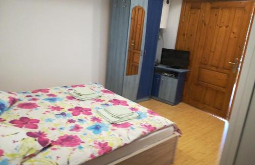 Budeasa Mare House | Guest Rated 10/10 at Casa Lidia și Gogu - Family-Friendly Stay