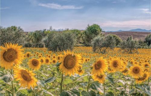 Pistoia House | Guest Rated 10/10: Family-Friendly Casa Lomi Awaits You
