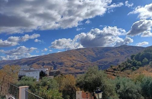 Almegijar House | Pet-Friendly Casa los Lagartos: Guest Rated 9.8/10
