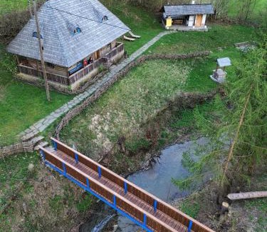 Viseu de Sus House | Pet-Friendly Casa lu' Ion: Guest Rated 9.7/10 Stay Awaits