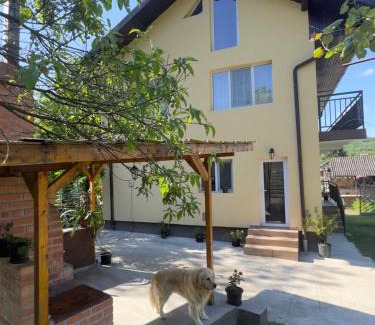 Gura Suhasului House | Pet-Friendly Retreat at Casa Lucia - Rated 9.7/10 by Guests