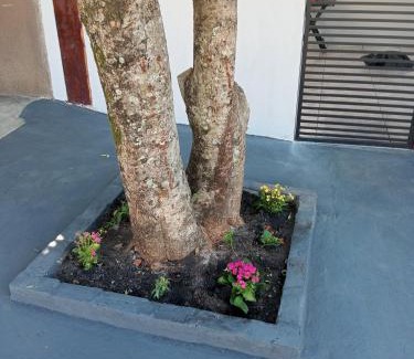 Bonito House | Discover Casa Luna da Boa Vista: 9.3/10, Pet-Friendly Stay