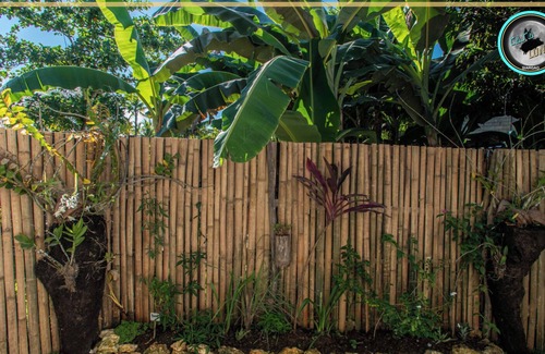 Catangnan Villa | Inviting CASA LUNA SIARGAO B: 3 Bedroom Villa with Kitchen