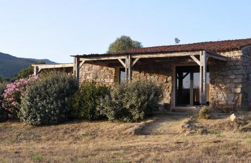 Serra-di-Ferro House | Casa Lysandra: Pet-Friendly Getaway with Kitchen Amenities
