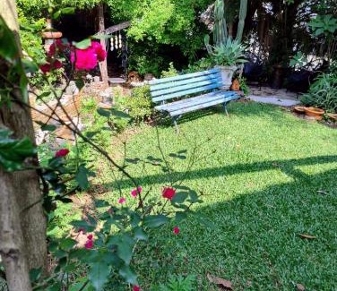 Jabaquara House | Discover CasaMágica SP: Spa Retreat with Perfect 10 Rating