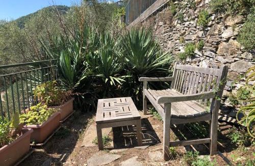 Zoagli Villa | Pet-Friendly Retreat at Casa Madeleine | Rated 8.6/10