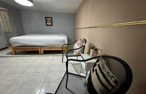 Aguascalientes House | Welcoming Casa Madre Santa: Family and Pet-Friendly Stay