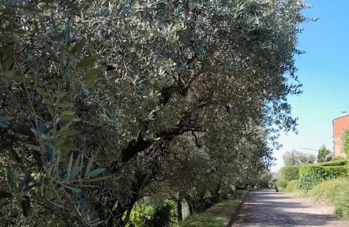 Santa Lucia ai Monti Apartment | Casa Magnolia: Family-Friendly Stay with Top Guest Ratings