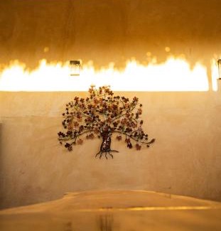 Salina Cruz Hotel | Experience Casa Majeva Punta Conejo with Ocean Views & Pool