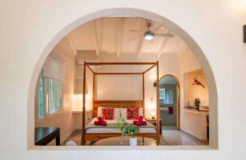 Tamarindo Bed & Breakfast | Pet-Friendly Retreat at Casa Mapache with Oceanfront Views