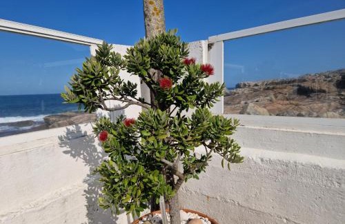 O Rosal House | CASA MAR DA LAXE: Pet-Friendly Retreat with Pool & Kitchen