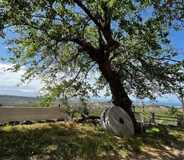 Rossano House | Cozy Casa Maria Host Green - Pet-Friendly Stay in Corigliano-Rossano